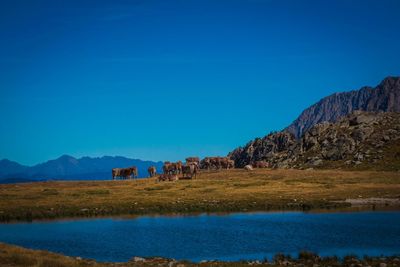 Scenic view of lake against clear blue sky