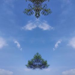 Low angle view of trees against blue sky