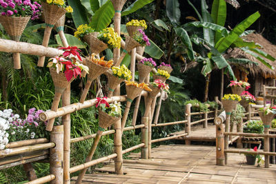 View of flowering plants against railing