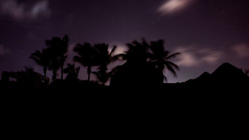 Low angle view of silhouette trees against sky at night