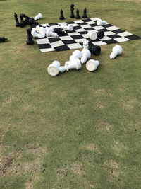 High angle view of white stones on field