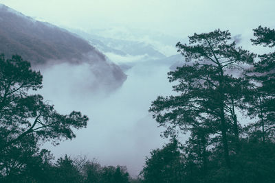 Scenic view of trees and mountains against sky