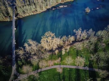 Scenic view of lake by trees against sky