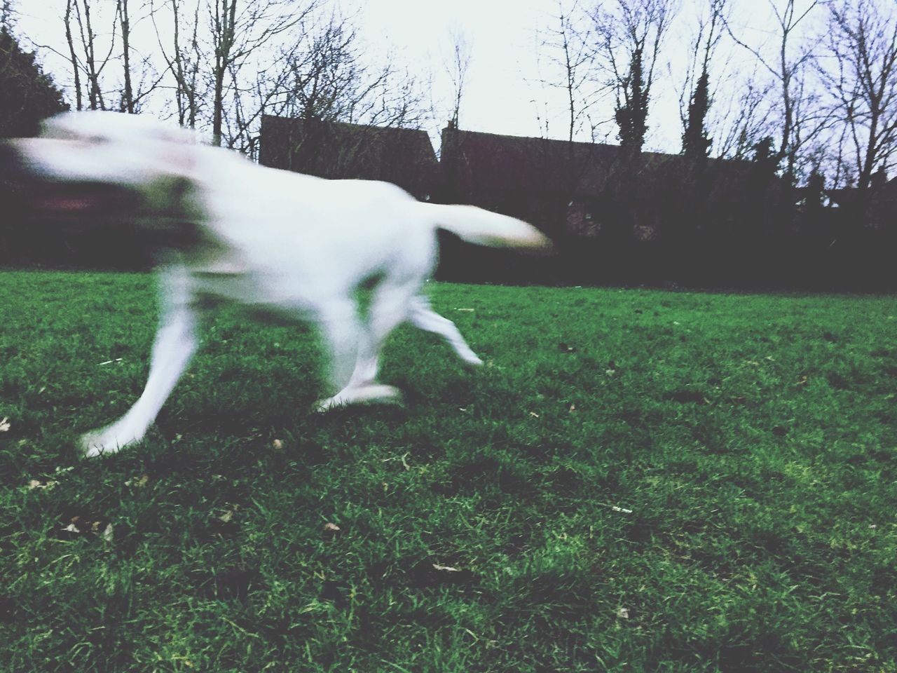 Blurred motion