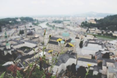 High angle view of buildings by sea against sky
