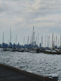 Sailboats moored at harbor against sky