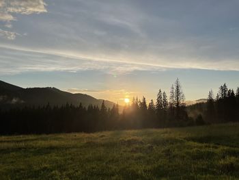 Scenic view of field against sky during sunset