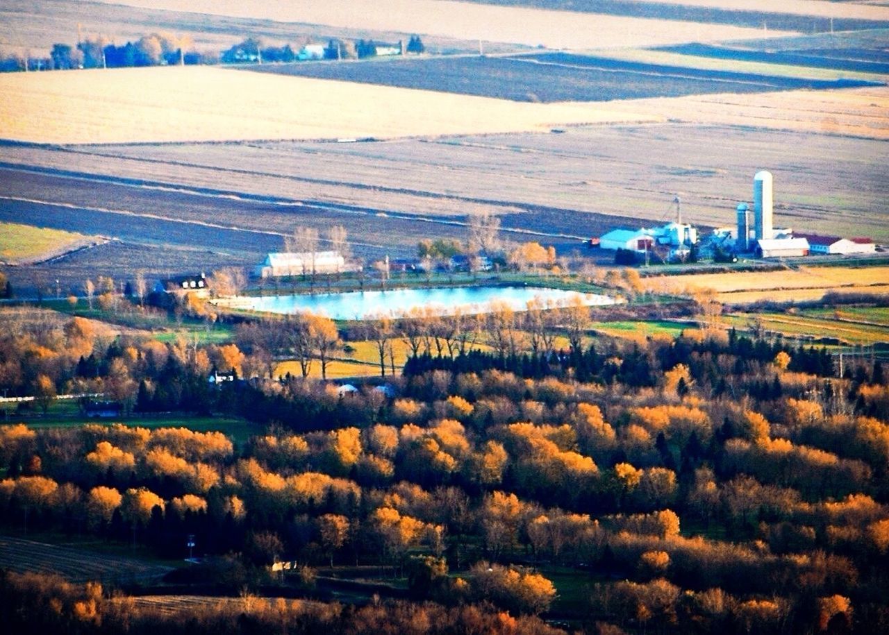 tree, transportation, landscape, high angle view, built structure, field, rural scene, nature, architecture, growth, water, river, agriculture, building exterior, connection, beauty in nature, sky, city, outdoors, plant