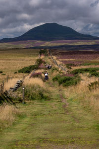 Scenic view of west lomond from the east