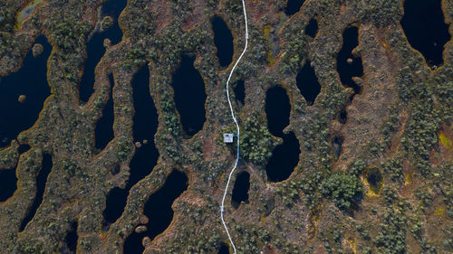 Aerial view of field and river