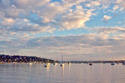 Sailboats sailing in sea against sky