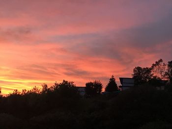 Silhouette trees against dramatic sky during sunset