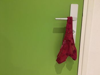 Red panties hanging on green door at home