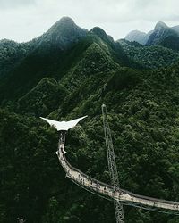 Low angle view of tree mountains against sky