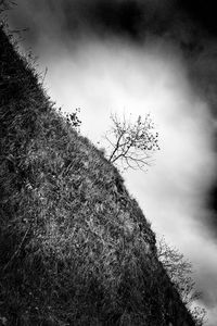 Low angle view of bare tree against sky