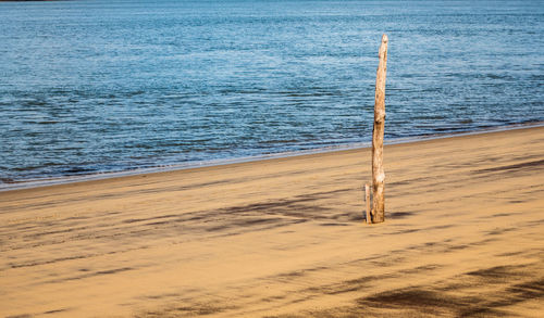 Scenic view of beach