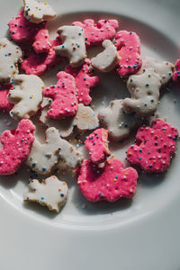 Frosted circus animal cookie pink and white sprinkled animal crackers on white plate