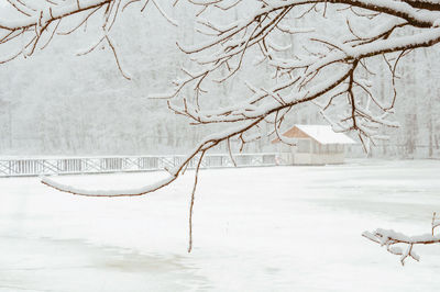 Winter landscape of forests, rivers, a bridge across the river to a house or hut. snowy weather