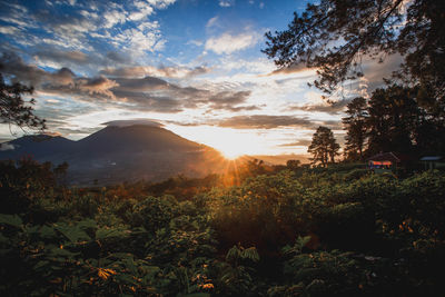 Scenic view of landscape against sky during sunset