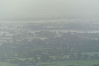 Trees on field against sky