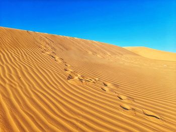 Sand dunes waves in sunny day