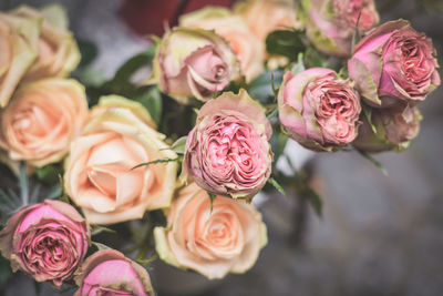 High angle view of rose bouquet