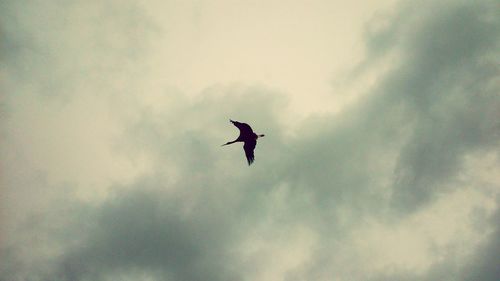 Low angle view of cloudy sky