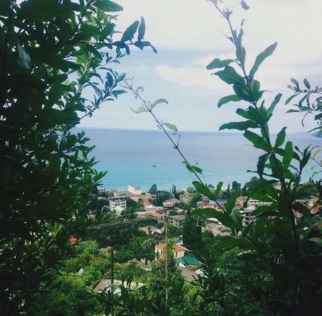 sea, water, horizon over water, growth, tree, plant, leaf, high angle view, architecture, nature, scenics, sky, tranquility, tranquil scene, blue, day, beauty in nature, outdoors, green color, town, ocean, shore, coastline, no people, remote