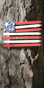 Close-up of flag on rock against wall
