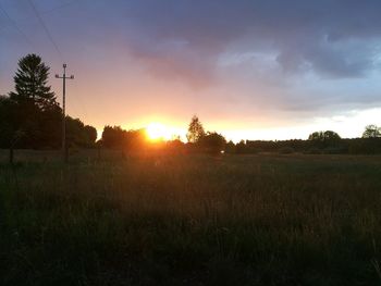 Silhouette trees on field against sky at sunset