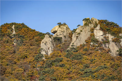 The scenery of the mountain that goes well with autumn and strange rocks is beautiful.