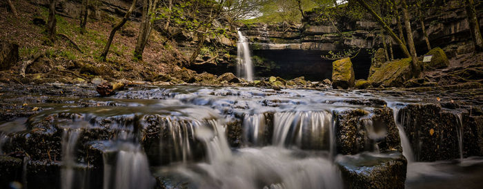 Water flowing over river in forest