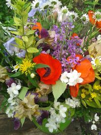 Close-up of flowers