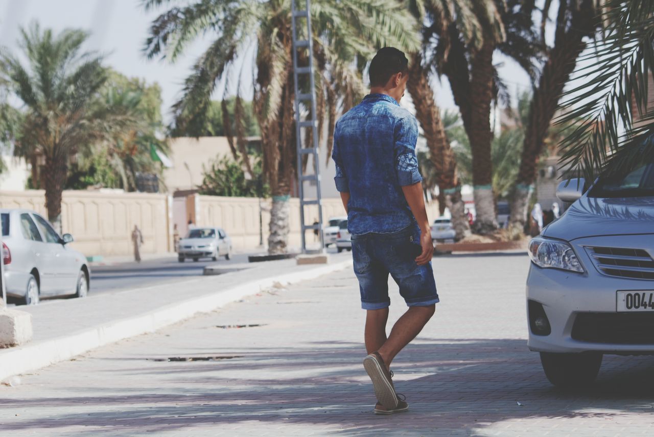 rear view, lifestyles, full length, casual clothing, tree, walking, street, leisure activity, men, palm tree, road, sunlight, person, day, car, standing, sidewalk, shadow