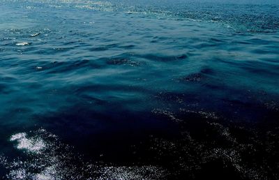 High angle view of seascape