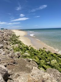 Ilha do farol, algarve, portugal