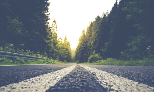 Surface level of road amidst trees against sky