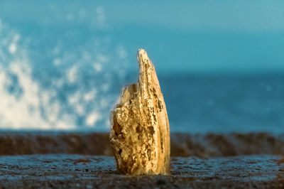 Close-up of wood by sea against sky