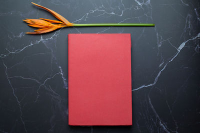 Directly above shot of red book on table