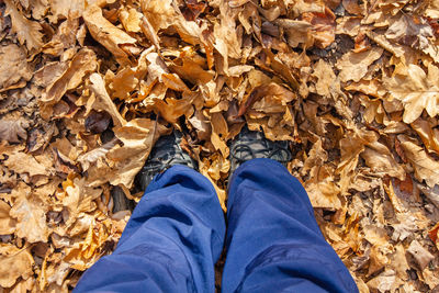 Low section of person standing on dry leaves