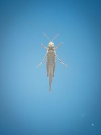 Rear view of helicopter against blue sky