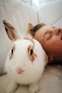Close-up portrait of rabbit with boy at home