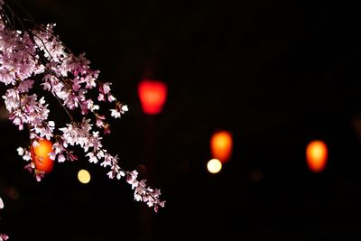 Illuminated red light at night