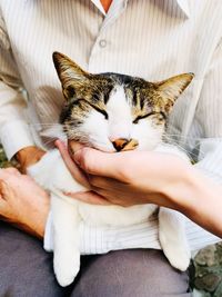 Midsection of woman with cat relaxing on hand