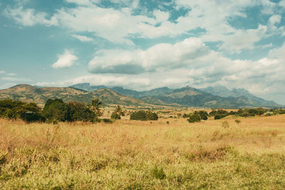 Scenic view of landscape against sky
