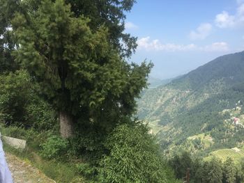 Scenic view of tree mountains against sky