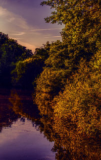 Trees by river against sky during autumn