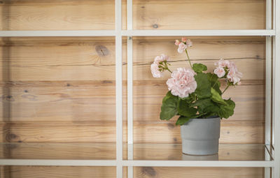 Serene and rustic, pink flower in a pot on a shelf against a wooden wall