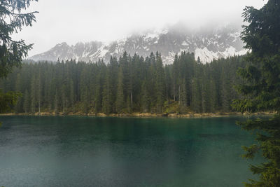 Scenic view of lake