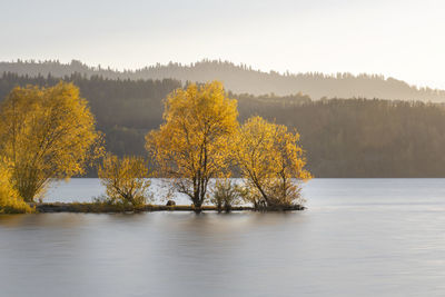 Scenic view of lake by trees against sky